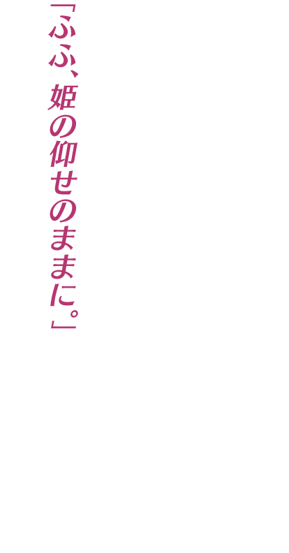 「ふふ、姫の仰せのままに。」