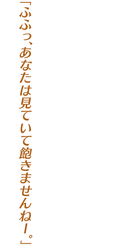 「ふふっ、あなたは見ていて飽きませんねー。」